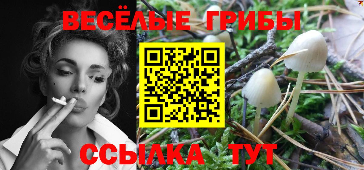 Азнакаево  Галлюциногенные грибы Psilocybine cubensis  Галлюциногенные грибы Magic Shrooms  Вход с VPN 