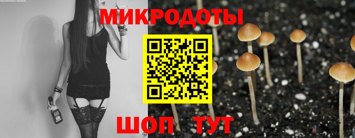 Псилоцибиновые грибы GOLDEN TEACHER Азнакаево